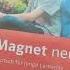 Magnet Neu A1