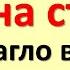 Почему категорически нельзя держать это на столе Она нагло ворует деньги из дома Народные традиции