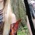 The DRAGONBORN COMES Skyrim Oblivion Harp Twins