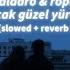 Taladro Rope Vedalar Ancak Güzel Yürekleri Acıtır Slowed Reverb