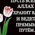 Насихат ба Чавонон 2004 2019