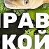 Очищаем пруд два года результат Часть 7 Амур Толстолобик и ряска Очистка пруда бюджетно