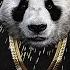 Panda Lyrics Desiigner