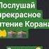 удели АЛЛАХУ 56 секунд сура Аль Маун сурымолитвы ислам суры коран мусульмане Islam