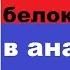 В крови повышен С реактивный белок причины