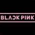 BLACKPINK Pretty Savage Instrumental TikTok Remix