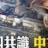 日本盼水產品銷陸解禁 中日核污水4共識 開放 待實際參與排海採樣後 國際360 20240920 全球大視野Global Vision