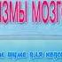 Исчезают спазмы мозговых сосудов Программа для подсознательных сообщений Сытин