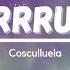 Prrrum Cosculluela Tiktok