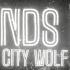 City Wolf Hands Up Lyric Video