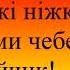 Українська народна пісня Ой на горі жито сидить зайчик Плюс