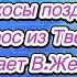 Абрикосы поздние Вопрос из Твери отвечает В Железов