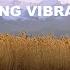 INSPIRING VIBRATIONS EPISODE 126 Progressive House Deep House Mix