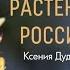 Лекция Лекарственные растения курса Ботанические заметки полезные и опасные