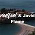 Redfeel Javid Flame