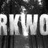 DARKWOOD OST Main Theme Menu Song EXTENDED