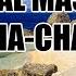 MASBATE CHA CHA NONSTOP MEDLEY ORIGINAL VERSION REMIX AVENUE