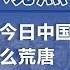 严歌苓 上 几十年后再看今日中国 会发现怎么这么荒唐 观点