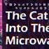 U U F O Tr 19 The Cat Evolved Into The Microwave Proof Cat