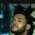 Kiss Land