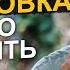 Почему блокировать бывших плохая идея Чем блокировка людей грозит для человека в будущем