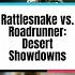 Rattlesnake Vs Roadrunner Desert Showdowns