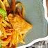 How To Make Lo Mein With Jet Tila Ready Jet Cook With Jet Tila Food Network