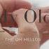 The Oh Hellos Hello My Old Heart Lyrics