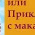 гл 10 Путь Кассандры или Приключения с макаронами Юлия Вознесенская аудиокнига