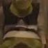 Shrek Poop Diarrhea Shorts