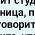 Как Девственниц Экзамен Сдавала Большой Сборник Свежих Смешных Анекдотов