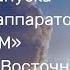 Трансляция запуска космических аппаратов Ионосфера М 1 и 2