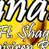 BANANA FEAT SHAGGY DJ FLE MINISIREN REMIX HQ