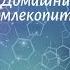 Биология 7 кл Пасечник 57 Домашние млекопитающие