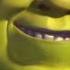 Shrek All Star Ogre Fandango Family