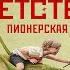 Совдетство 2 Пионерская ночь Юрий Поляков Аудиокнига