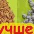 КАК ПРАВИЛЬНО ИСПОЛЬЗОВАТЬ ГНИЛОЙ КАМЕНЬ В САДУ и ОГОРОДЕ Трепел или диатомит что лучше