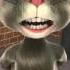 Talking Tom прилилето