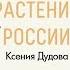 Лекция Ядовитые растения России курса Ботанические заметки полезные и опасные