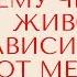 К чему чешется живот в зависимости от места и дня недели Подробное толкование приметы