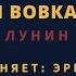 Я и Вовка