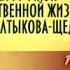 Михаил Салтыков Щедрин Передача 9 Критика публицистика