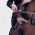 Alexander Muravyev Cheshire Cat CLIP Double Bass Solo