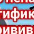 Грех ли покупать сертификат Примеры из проповедей Дениса Самарина МСЦ ЕХБ