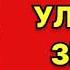 Андрей Молчанов Улыбка зверя Читает Алексей Ковалев Аудиокнига