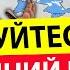 Екстрено Мобілізація ЖІНОК ПОЛЕТИТЬ БАГАТО РАКЕТ СЕЙРАШ