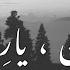 Diyar E Dil Ost Yaar E Man Zeb Bangash Momin Durrani Aesthetic Lines