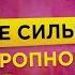 Является ли дыхание силы холотропным дыханием Алексей Юрков