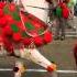 Horse Dancing To The Rhythm Of Dhol Only In India