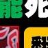 巫统从一党独大到沦为二流政党 其衰败根源在于内部分裂和腐败 如今依附团结政府苟延残喘 未来能否通过改革再现辉煌 关键在于领导层的觉醒与转型